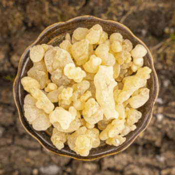 Eritrea First Choice Weihrauch – 25 g Premium Harz (Boswellia papyrifera) – Bild 2