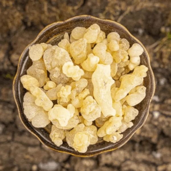 Eritrea First Choice Weihrauch – 25 g Premium Harz (Boswellia papyrifera) – Bild 2