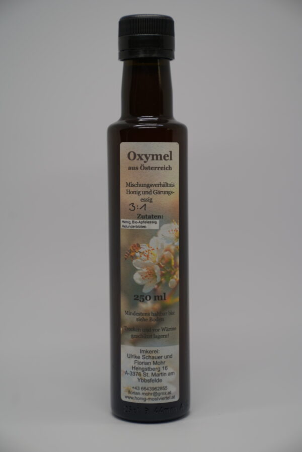 Lavendel-Oxymel – natürliches Tonikum aus Essig & Honig – Bild 1